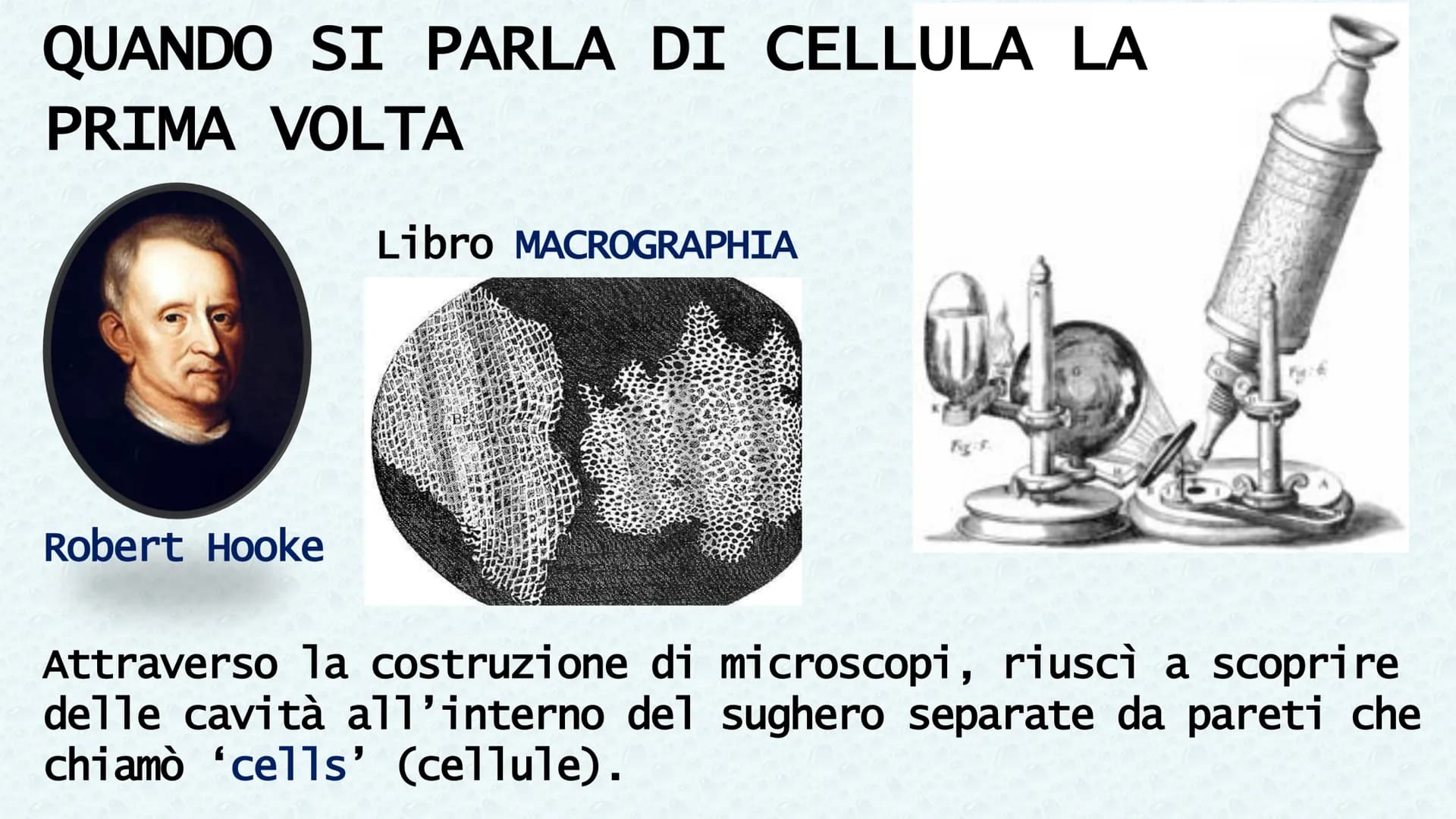 LA CELLULA QUANDO SI PARLA DI CELLULA LA
PRIMA VOLTA
Robert Hooke
Libro MACROGRAPHIA
Attraverso la costruzione di microscopi, riuscì a scopr