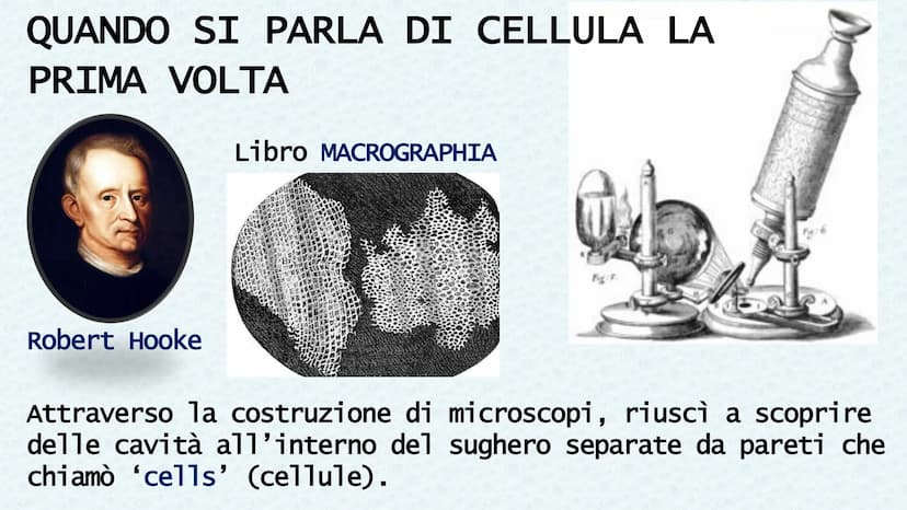 LA CELLULA QUANDO SI PARLA DI CELLULA LA
PRIMA VOLTA
Robert Hooke
Libro MACROGRAPHIA
Attraverso la costruzione di microscopi, riuscì a scopr