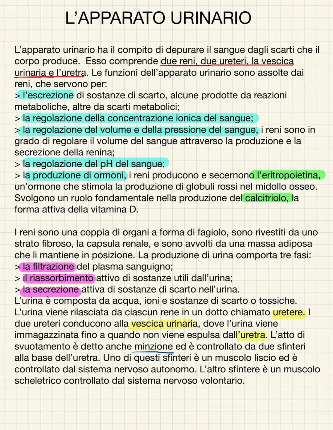 L'APPARATO URINARIO
L'apparato urinario ha il compito di depurare il sangue dagli scarti che il
corpo produce. Esso comprende due reni, due 