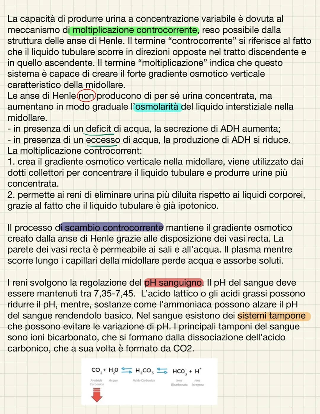 L'APPARATO URINARIO
L'apparato urinario ha il compito di depurare il sangue dagli scarti che il
corpo produce. Esso comprende due reni, due 