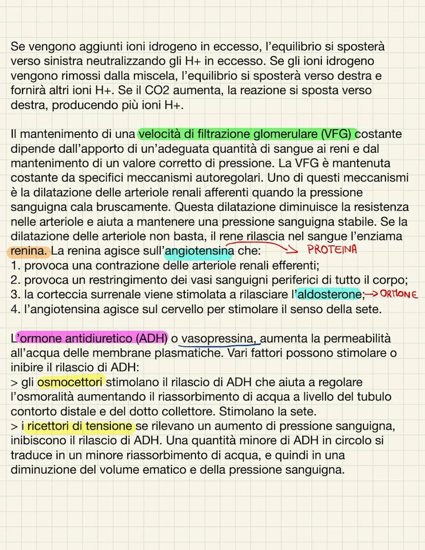 L'APPARATO URINARIO
L'apparato urinario ha il compito di depurare il sangue dagli scarti che il
corpo produce. Esso comprende due reni, due 