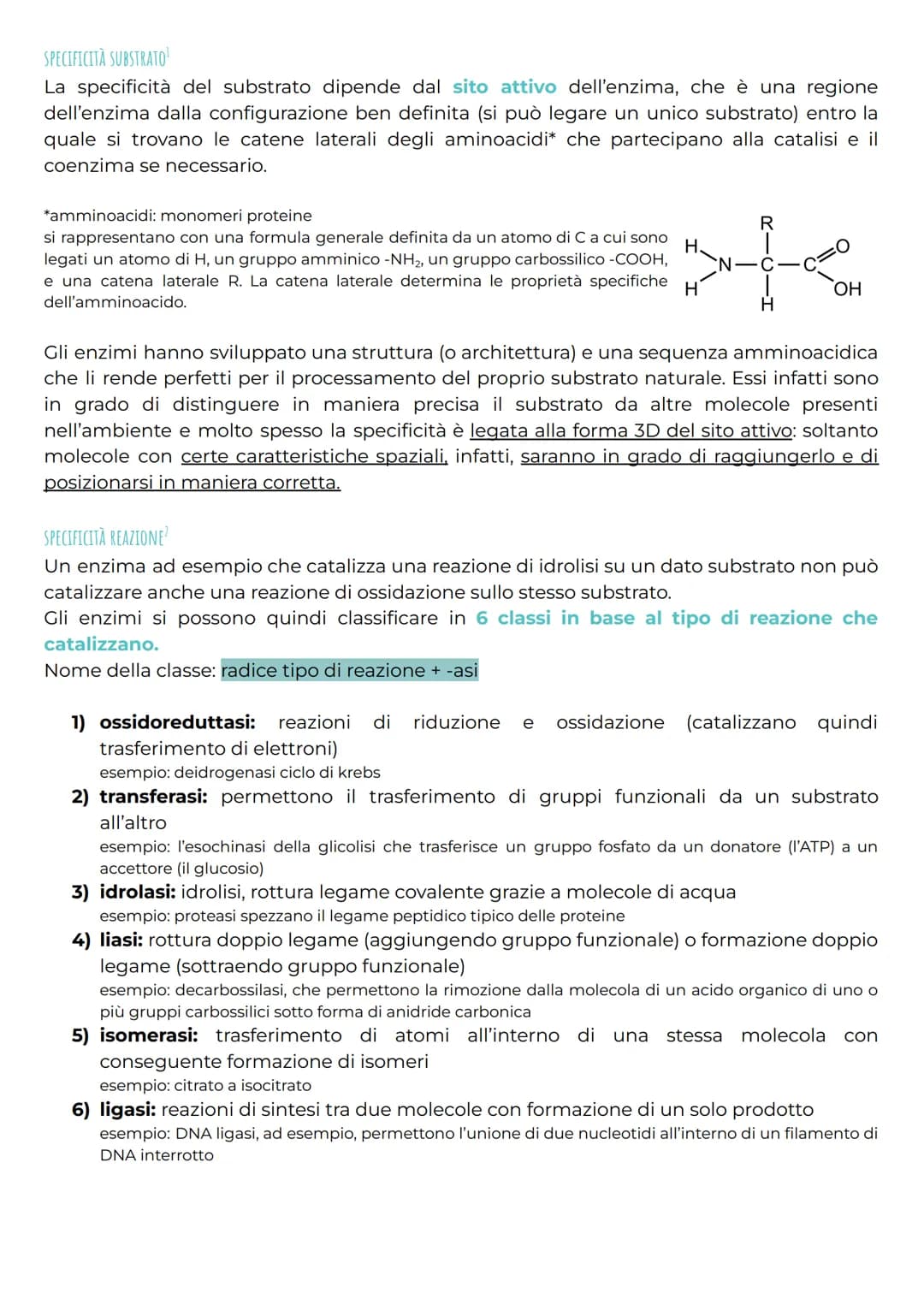 gli enzimi
CHE COSA SONO?
Gli enzimi sono una classe di proteine* altamente specializzate e importanti nel
metabolismo cellulare per la loro