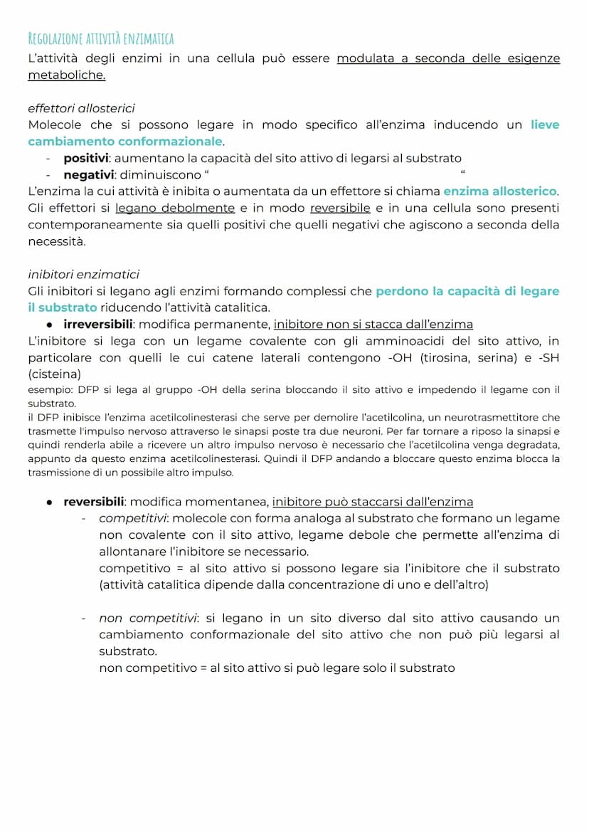 gli enzimi
CHE COSA SONO?
Gli enzimi sono una classe di proteine* altamente specializzate e importanti nel
metabolismo cellulare per la loro