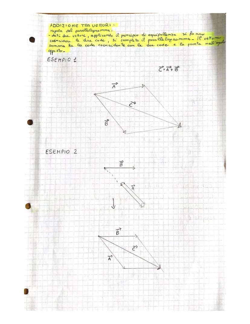 GRANDEZZE FISICHE SCALARI
ENEO
m
GRANDEZZE FISICHE SCALARIE
VETTORIALL
T
(ke)
(s)
(K)
(K₂)
ma
VETTORI
le vettore
MODULO INTENSITA, DIREZIONE