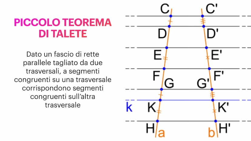 I QUADRILATERI
CAPITOLO 20
Lorenzo Manta Si dice:
Isoscele, se i lati obliqui sono
congruenti
●
TRAPEZIO
È un quadrilatero con una coppia di