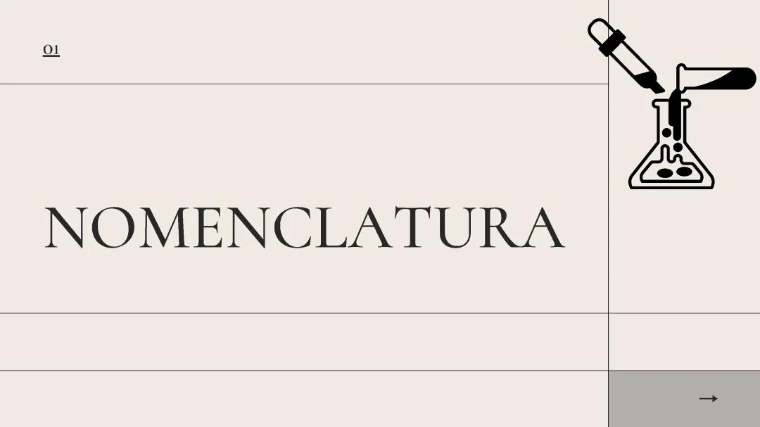 Nomenclatura 