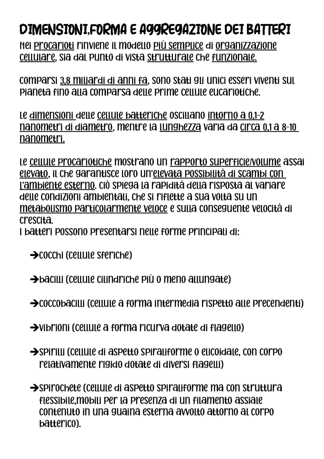 BATTERI(argomento completo, dalle basi alla riproduzione)