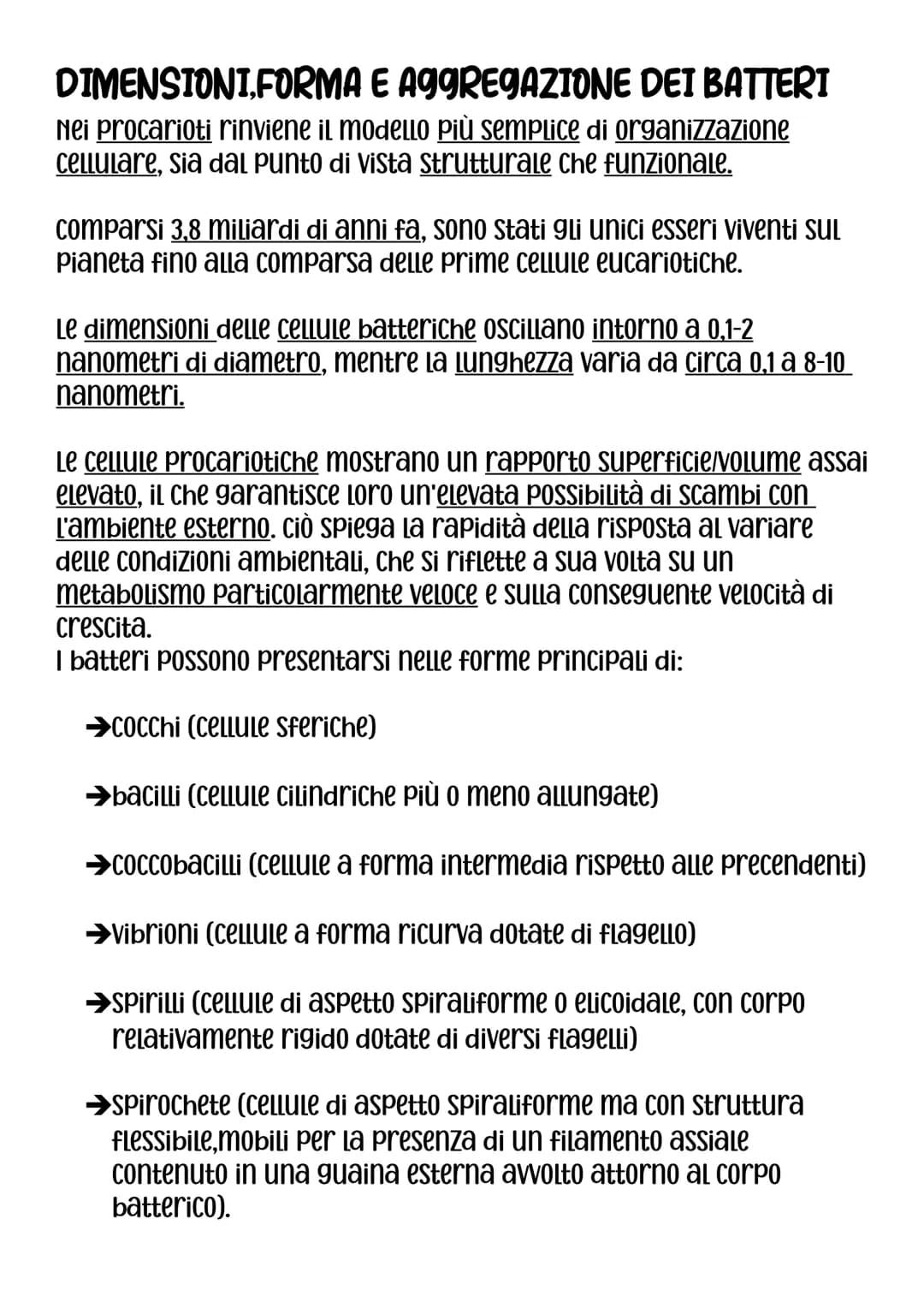DIMENSIONI,FORMA E AGGREGAZIONE DEI BATTERI
Nei procarioti rinviene il modello Più semplice di organizzazione
Cellulare, sia dal punto di vi