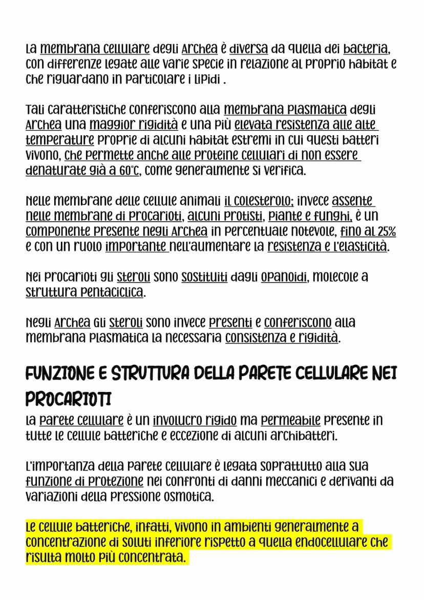 DIMENSIONI,FORMA E AGGREGAZIONE DEI BATTERI
Nei procarioti rinviene il modello Più semplice di organizzazione
Cellulare, sia dal punto di vi