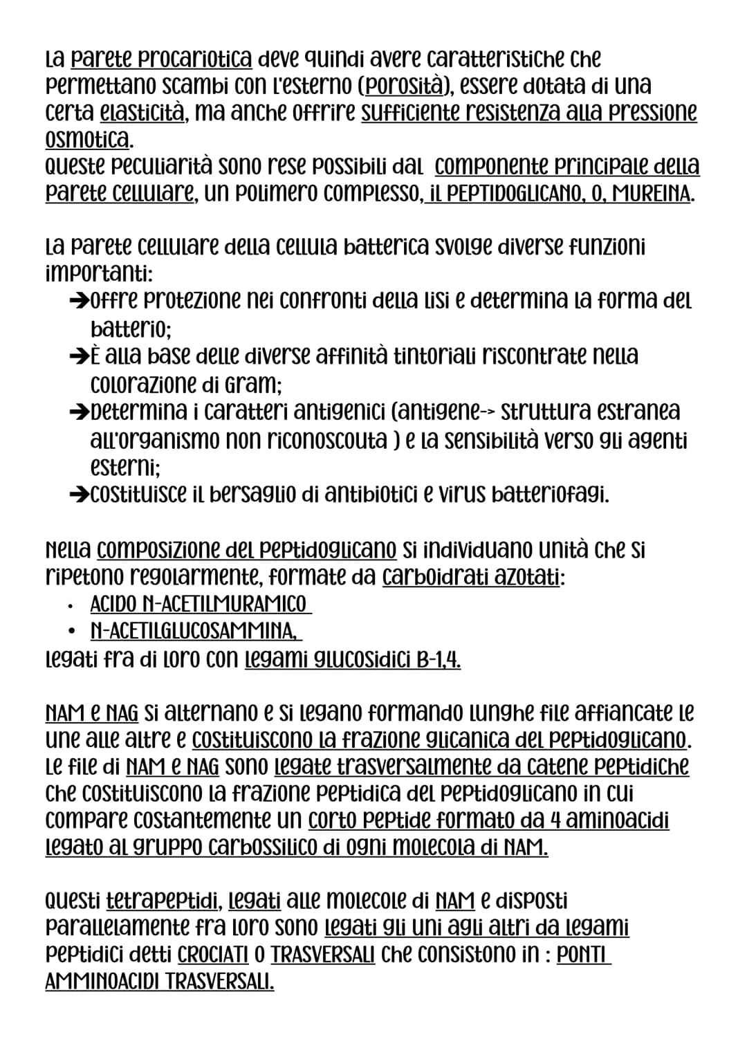 DIMENSIONI,FORMA E AGGREGAZIONE DEI BATTERI
Nei procarioti rinviene il modello Più semplice di organizzazione
Cellulare, sia dal punto di vi