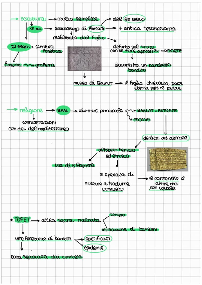 fenici →società economia incentrata sul mare.
↓
↓
"phonix" dai greci Contatti neee'entroterra sfavorit!
dai monti del Libano
colorante rosso