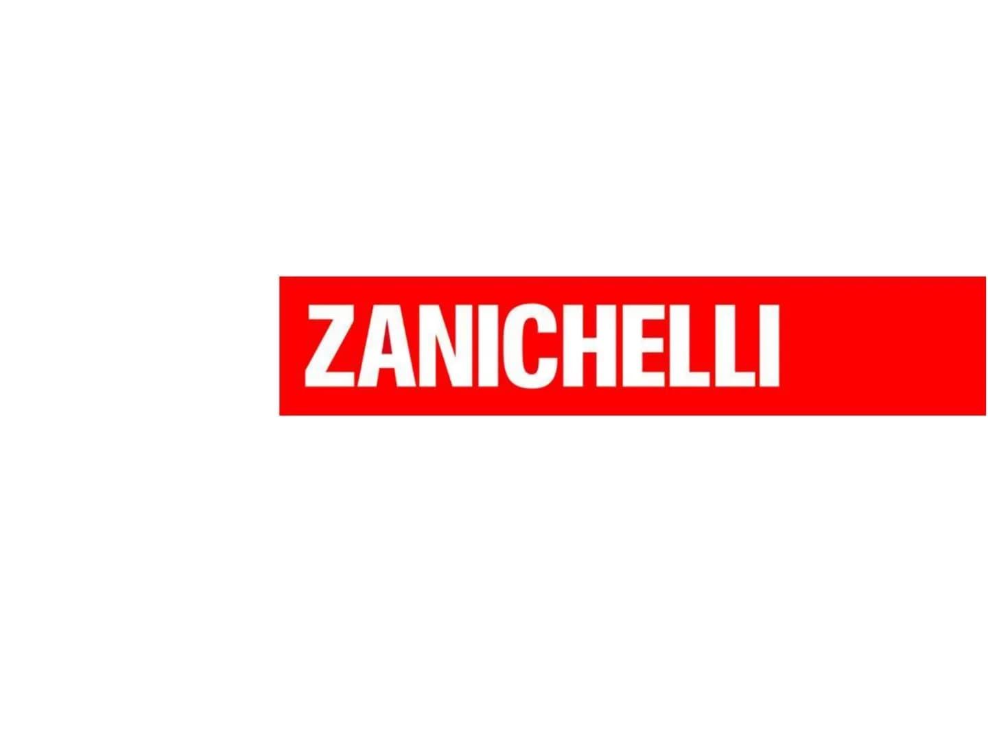 ZANICHELLI Fabio Fanti
Biologia,
microbiologia
e tecniche di
controllo sanitario Capitolo 10
I virus
Fabio Fanti, Biologia, Microbiologia e 