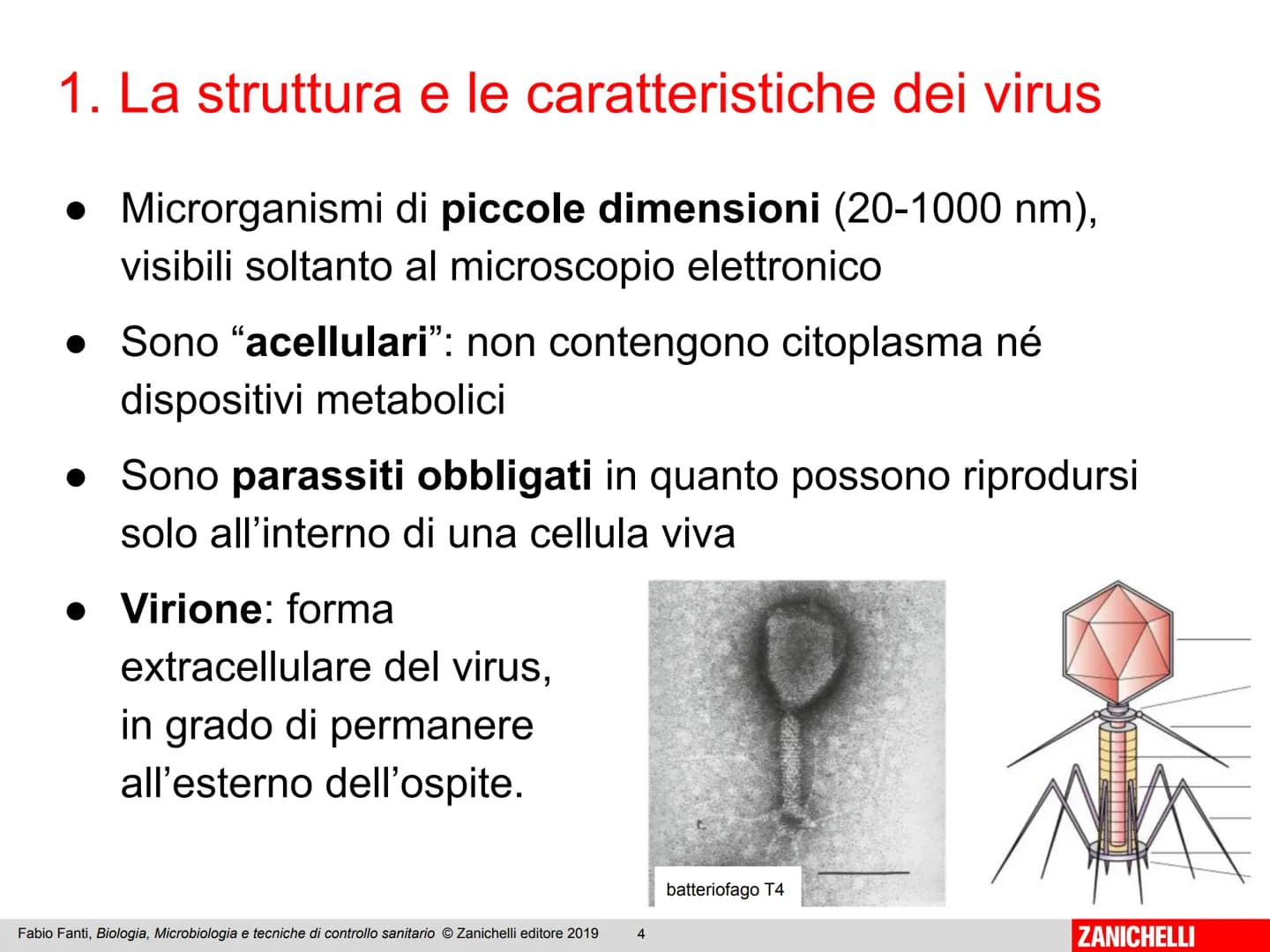 ZANICHELLI Fabio Fanti
Biologia,
microbiologia
e tecniche di
controllo sanitario Capitolo 10
I virus
Fabio Fanti, Biologia, Microbiologia e 