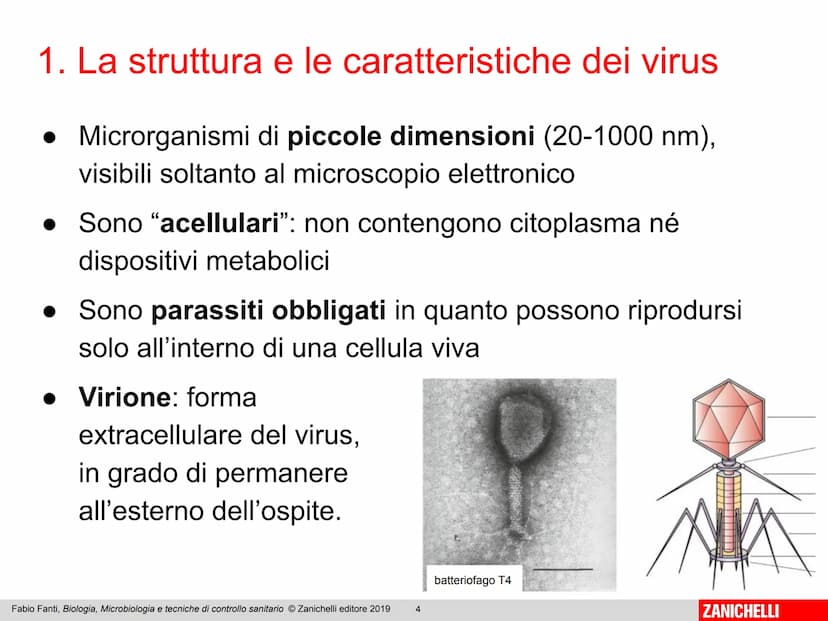 ZANICHELLI Fabio Fanti
Biologia,
microbiologia
e tecniche di
controllo sanitario Capitolo 10
I virus
Fabio Fanti, Biologia, Microbiologia e 
