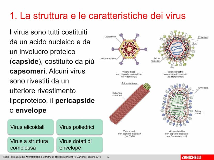 ZANICHELLI Fabio Fanti
Biologia,
microbiologia
e tecniche di
controllo sanitario Capitolo 10
I virus
Fabio Fanti, Biologia, Microbiologia e 