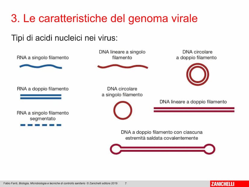 ZANICHELLI Fabio Fanti
Biologia,
microbiologia
e tecniche di
controllo sanitario Capitolo 10
I virus
Fabio Fanti, Biologia, Microbiologia e 