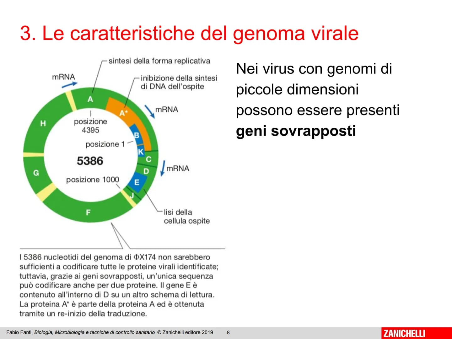 ZANICHELLI Fabio Fanti
Biologia,
microbiologia
e tecniche di
controllo sanitario Capitolo 10
I virus
Fabio Fanti, Biologia, Microbiologia e 