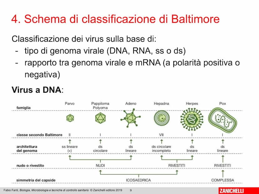 ZANICHELLI Fabio Fanti
Biologia,
microbiologia
e tecniche di
controllo sanitario Capitolo 10
I virus
Fabio Fanti, Biologia, Microbiologia e 