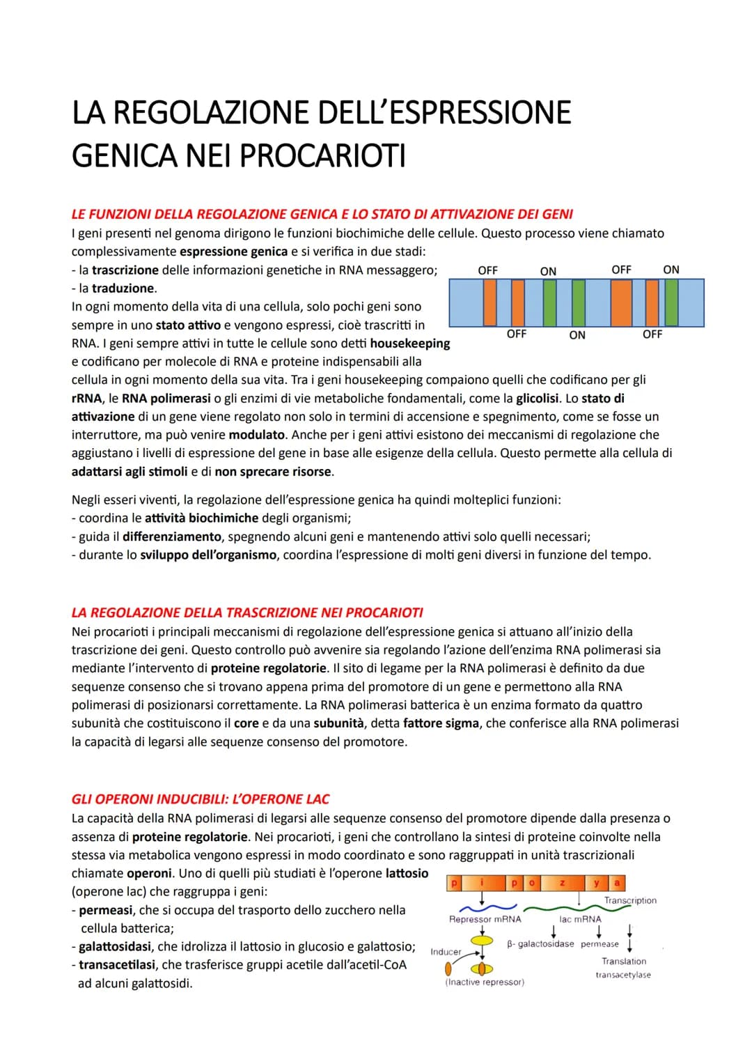 IL DNA E LA REGOLAZIONE GENICA
LA STRUTTURA DEI NUCLEOTIDI
I nucleotidi sono i monomeri degli acidi nucleici. Sono costituiti da un monosacc