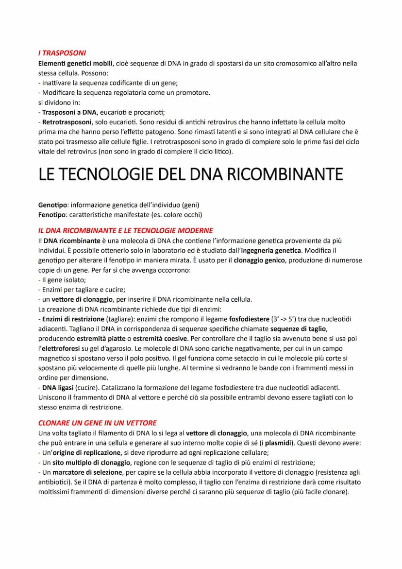 IL DNA E LA REGOLAZIONE GENICA
LA STRUTTURA DEI NUCLEOTIDI
I nucleotidi sono i monomeri degli acidi nucleici. Sono costituiti da un monosacc