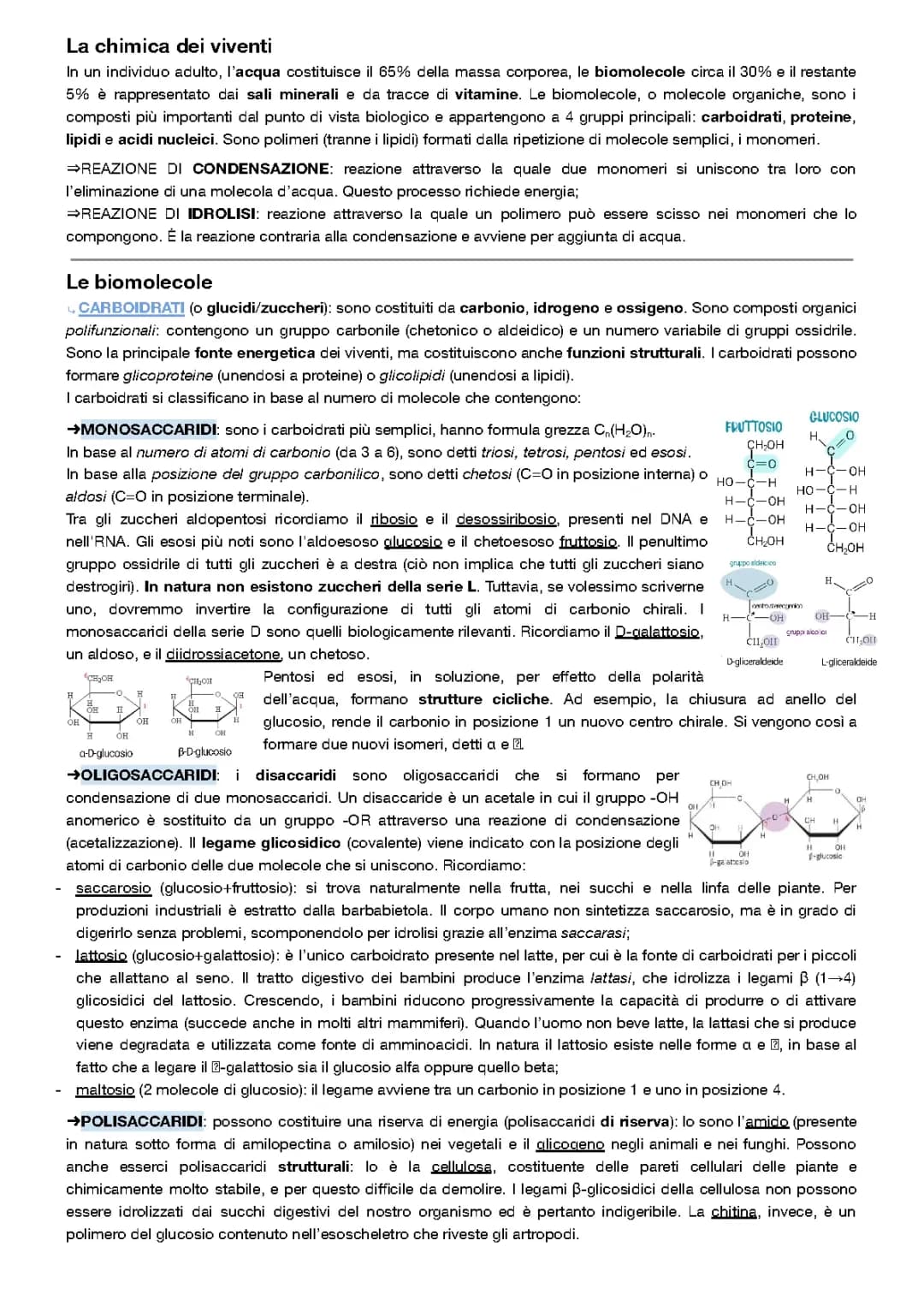 Biochimica: biomolecole (carboidrati, lipidi e proteine)