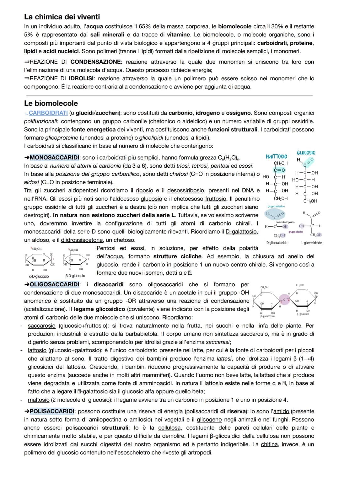 La chimica dei viventi
In un individuo adulto, l'acqua costituisce il 65% della massa corporea, le biomolecole circa il 30% e il restante
5%