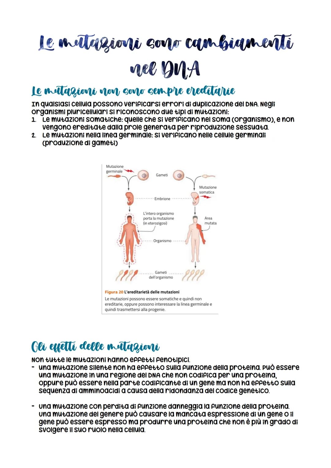 
<p>Le mutazioni sono cambiamenti nel DNA che possono essere di diversi tipi. Le mutazioni non sono sempre ereditarie e possono avvenire in 