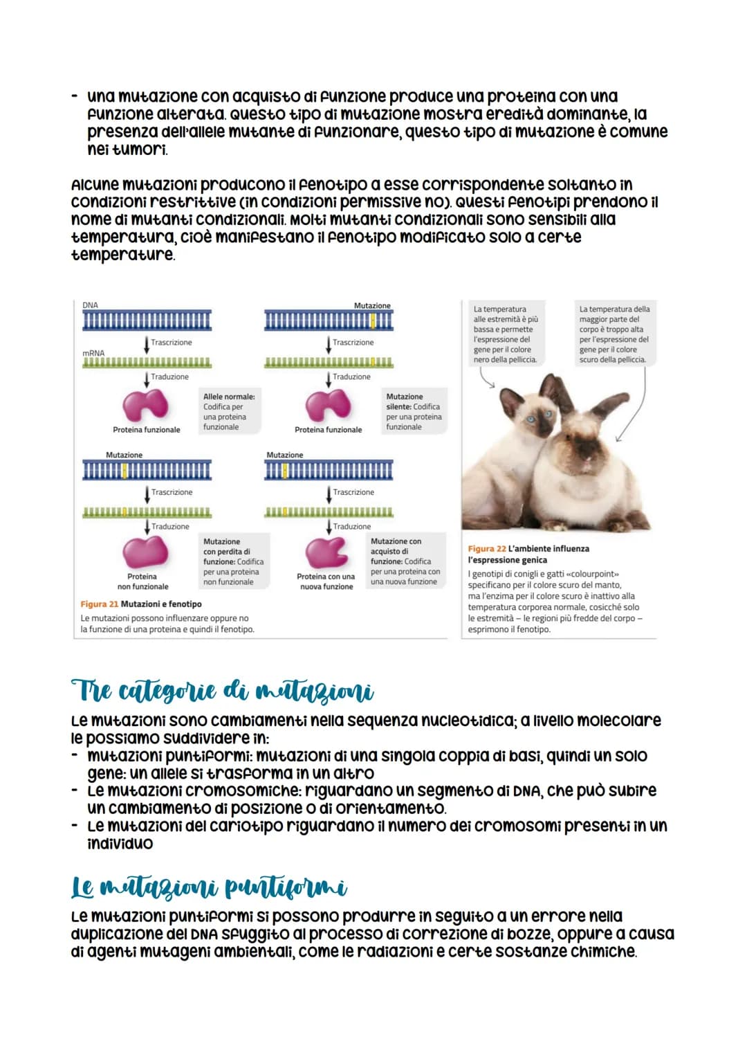 
<p>Le mutazioni sono cambiamenti nel DNA che possono essere di diversi tipi. Le mutazioni non sono sempre ereditarie e possono avvenire in 