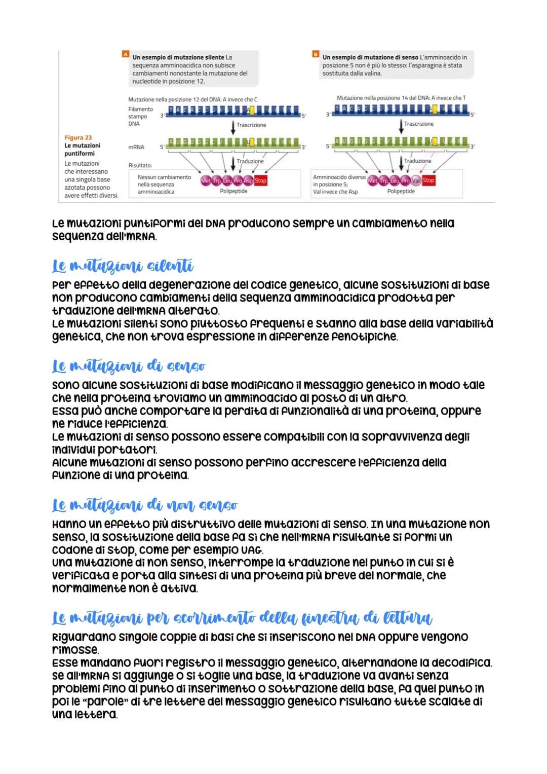 
<p>Le mutazioni sono cambiamenti nel DNA che possono essere di diversi tipi. Le mutazioni non sono sempre ereditarie e possono avvenire in 