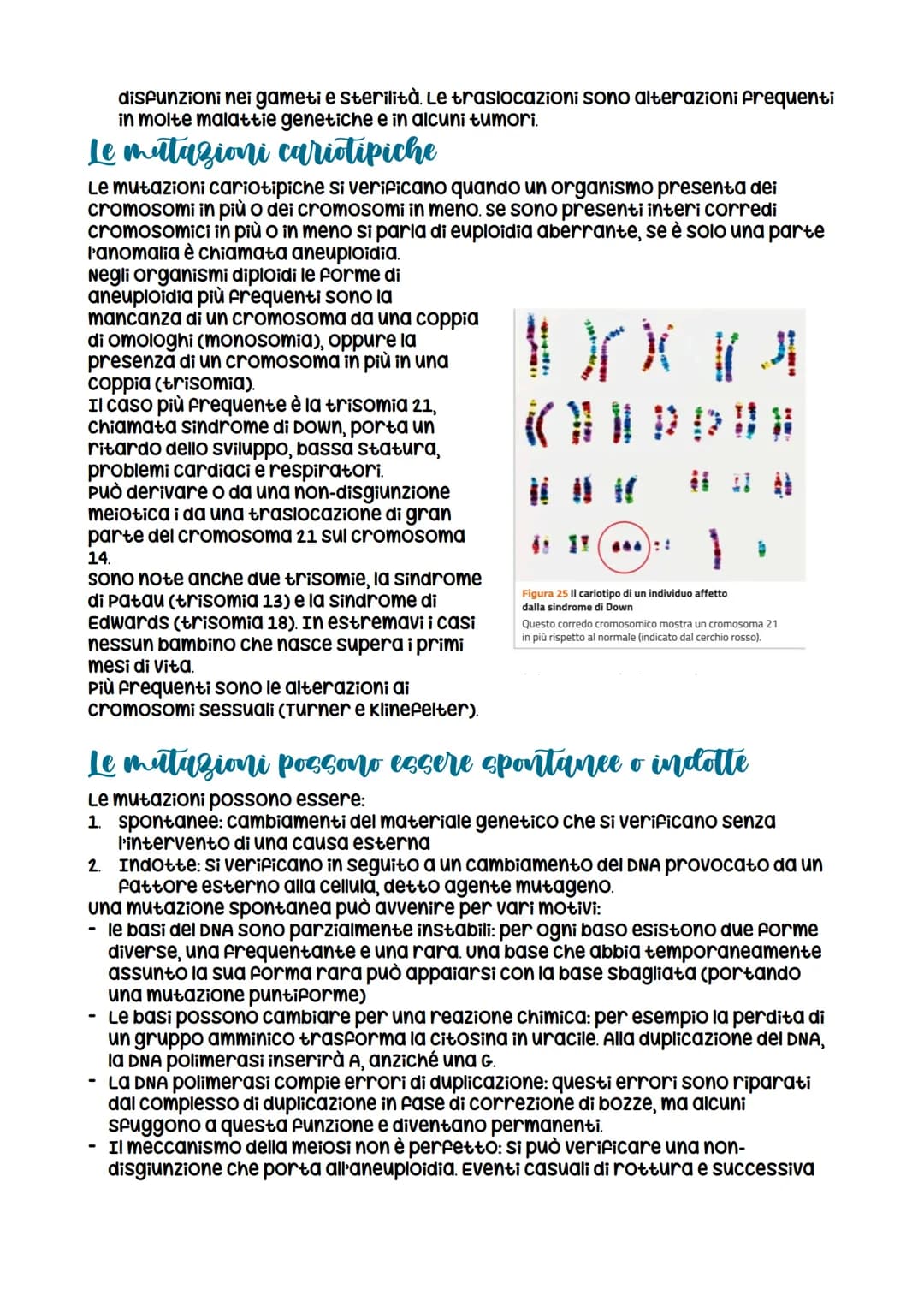 
<p>Le mutazioni sono cambiamenti nel DNA che possono essere di diversi tipi. Le mutazioni non sono sempre ereditarie e possono avvenire in 