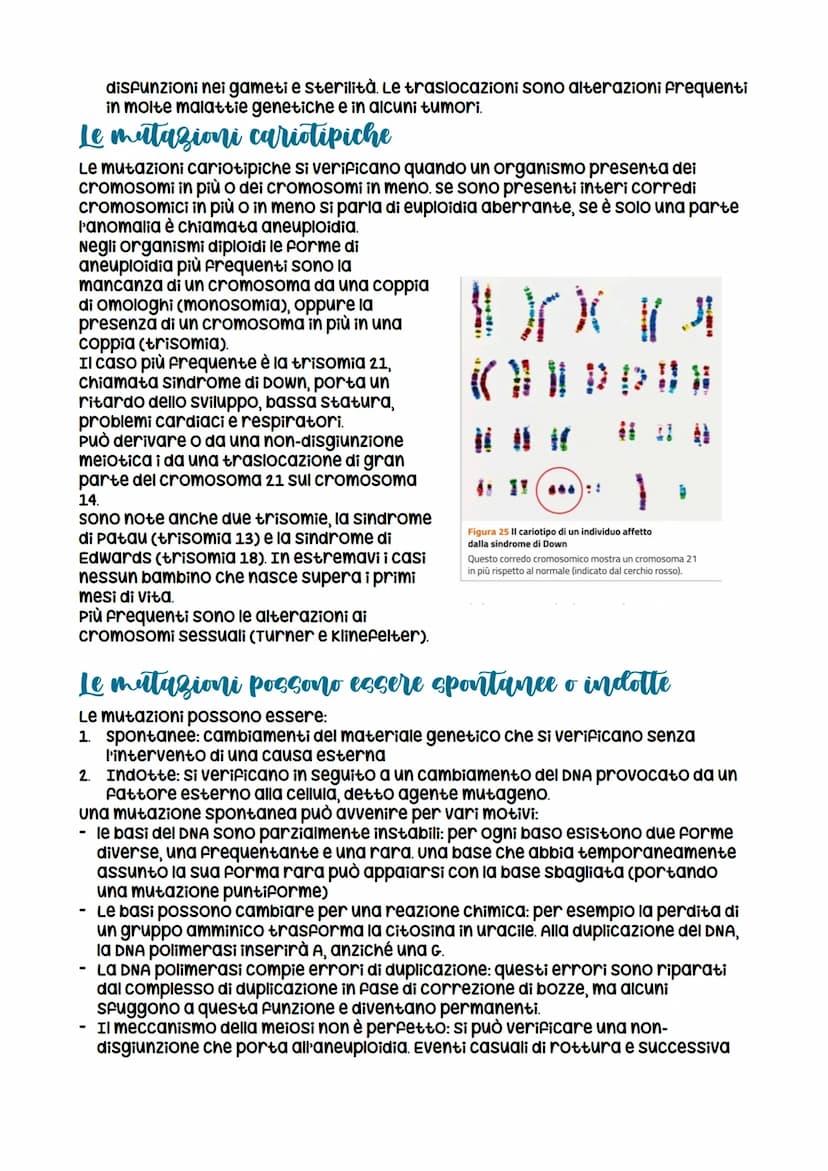 
<p>Le mutazioni sono cambiamenti nel DNA che possono essere di diversi tipi. Le mutazioni non sono sempre ereditarie e possono avvenire in 