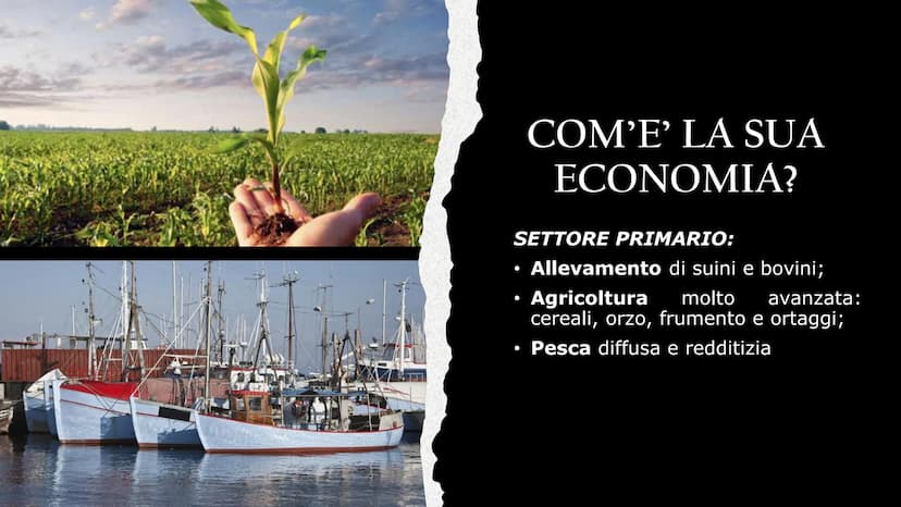 LA
DANIMARCA LA DANIMARCA
IN BREVE
●
●
●
●
●
B
1981
883
===
SONGEA
88888
51
LEB HAI 11111
FORMA DI GOVERNO→ Monarchia Costituzionale;
CAPITA