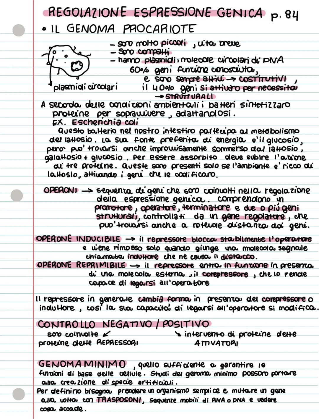 REGOLAZIONE ESPRESSIONE GENICA p. 84
• IL GENOMA PROCARIOTE
- sono molto piccoli uita breve
-Sono compatti
J
hamno plasmidi, molecole circol
