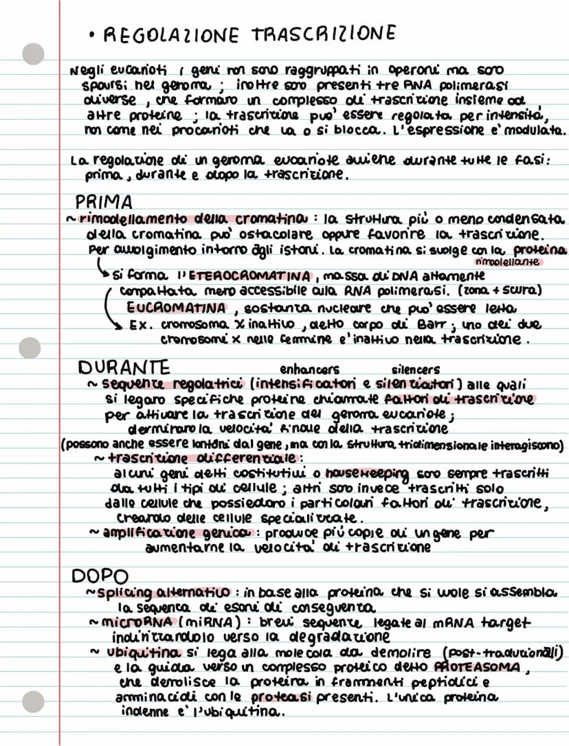 REGOLAZIONE ESPRESSIONE GENICA p. 84
• IL GENOMA PROCARIOTE
- sono molto piccoli uita breve
-Sono compatti
J
hamno plasmidi, molecole circol