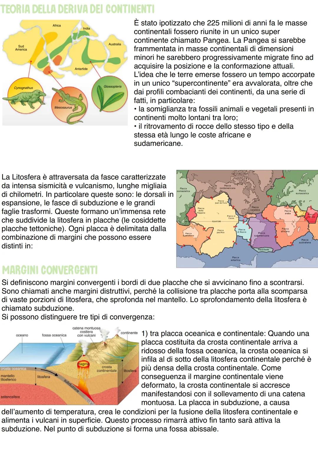 # TETTONICA DELLE PLACCHE

La conoscenza dell'interno della Terra è indispensabile per comprendere gran parte dei
fenomeni che avvengono sul