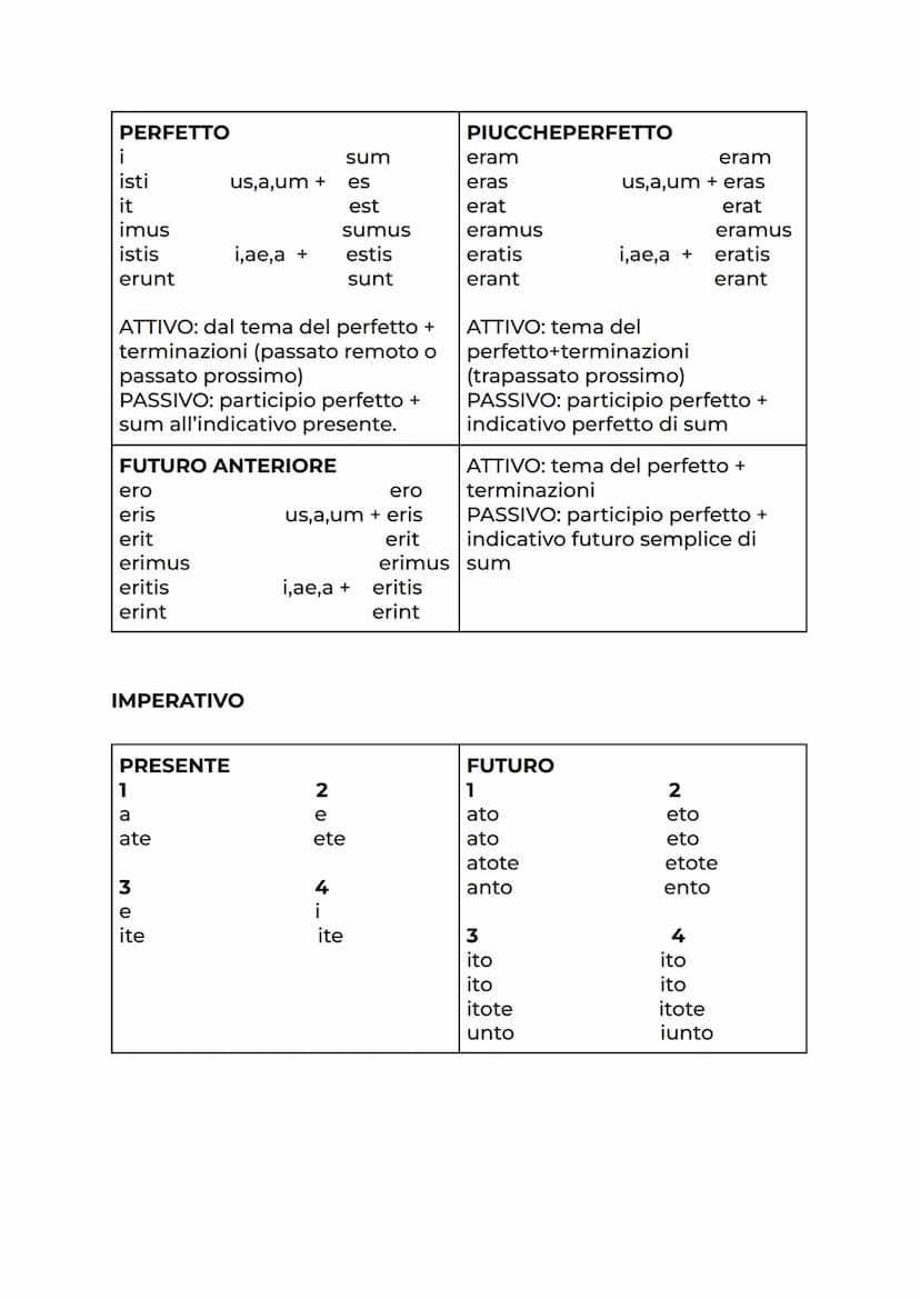 DECLINAZIONI
1
a
ae
ae
am
5 o c
a
a
3 mef
.../is
is
em
.../is
e
4 neutro
3 3 3 3 3 3
u
us
ae
arum
is
as
ae
is
O
S
t
mus
tis
nt
TEMPI VERBALI