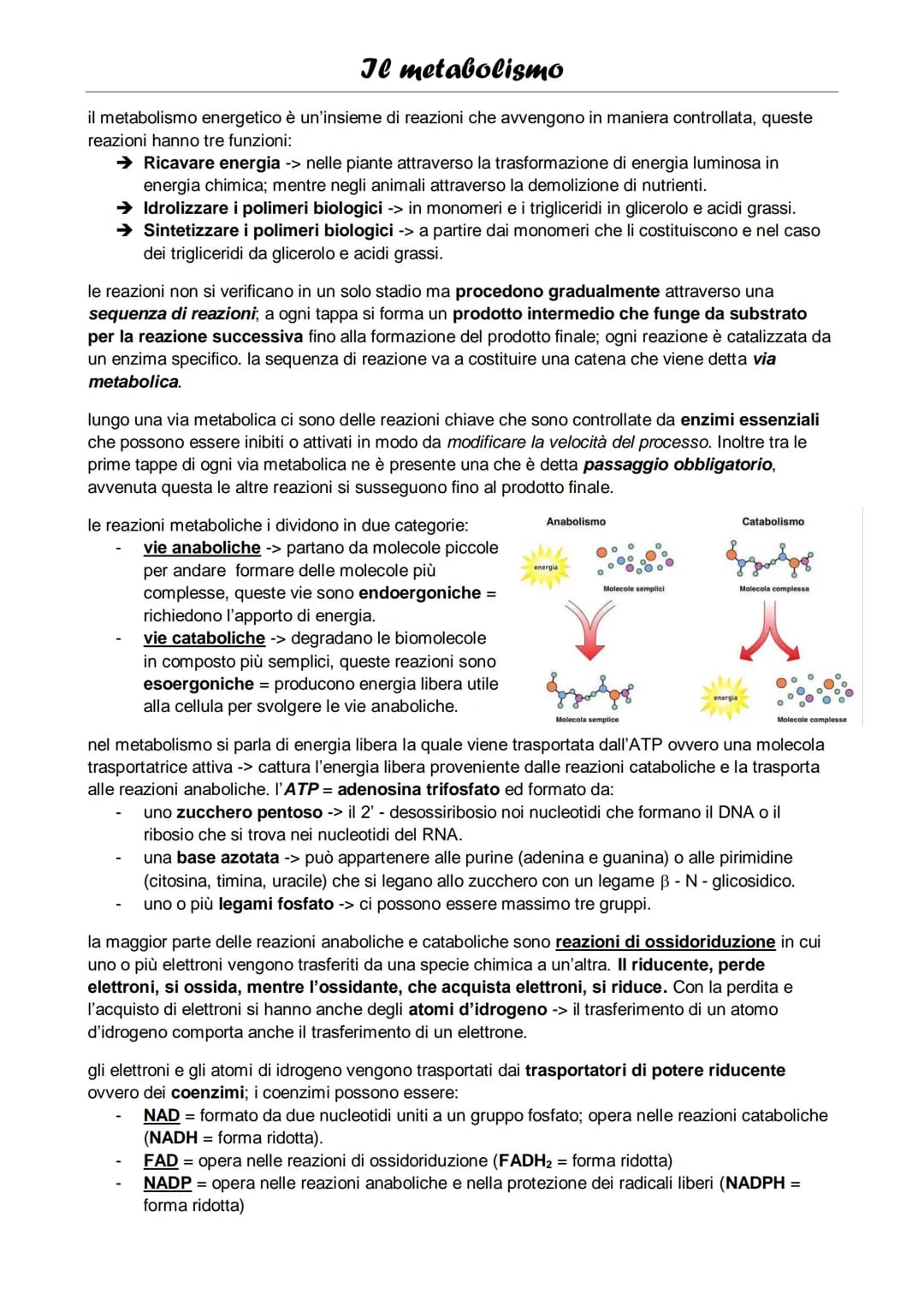 Il metabolismo
il metabolismo energetico è un'insieme di reazioni che avvengono in maniera controllata, queste
reazioni hanno tre funzioni:
