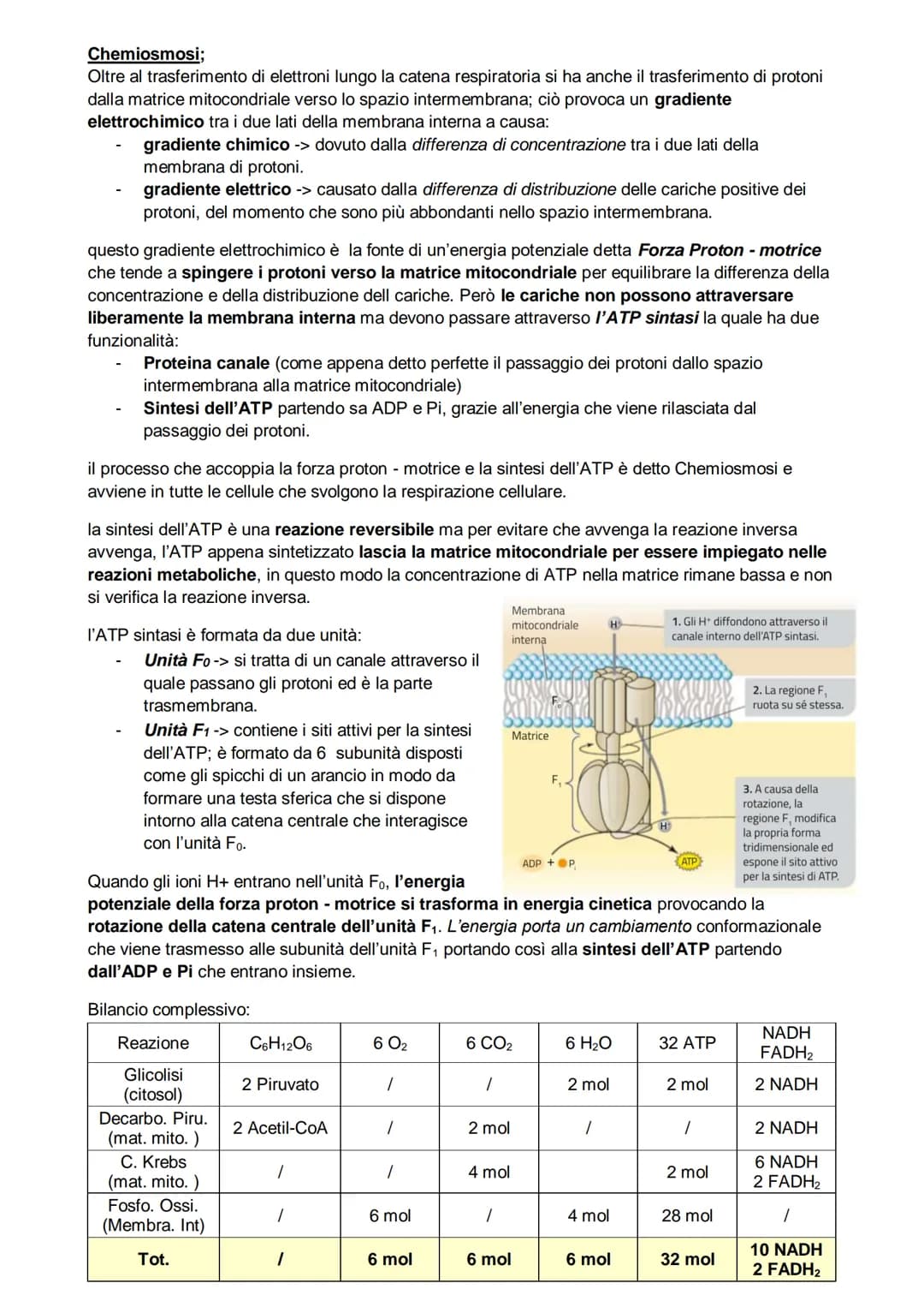 Il metabolismo
il metabolismo energetico è un'insieme di reazioni che avvengono in maniera controllata, queste
reazioni hanno tre funzioni:
