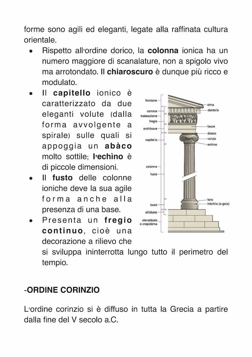 I TRE ORDINI ARCHITETTONICI
Tivite
App
I tre ordini architettonici principali greci sono: dorico,
ionico e corinzio, e venivano applicati ne