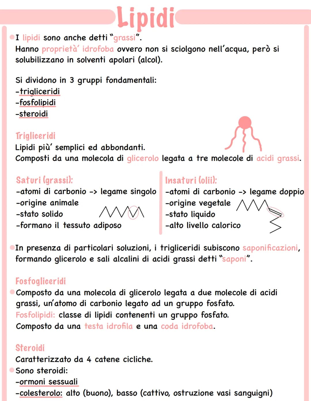 Lipidi
I lipidi sono anche detti "grassi".
Hanno proprietà' idrofoba ovvero non si sciolgono nell'acqua, però si
solubilizzano in solventi a