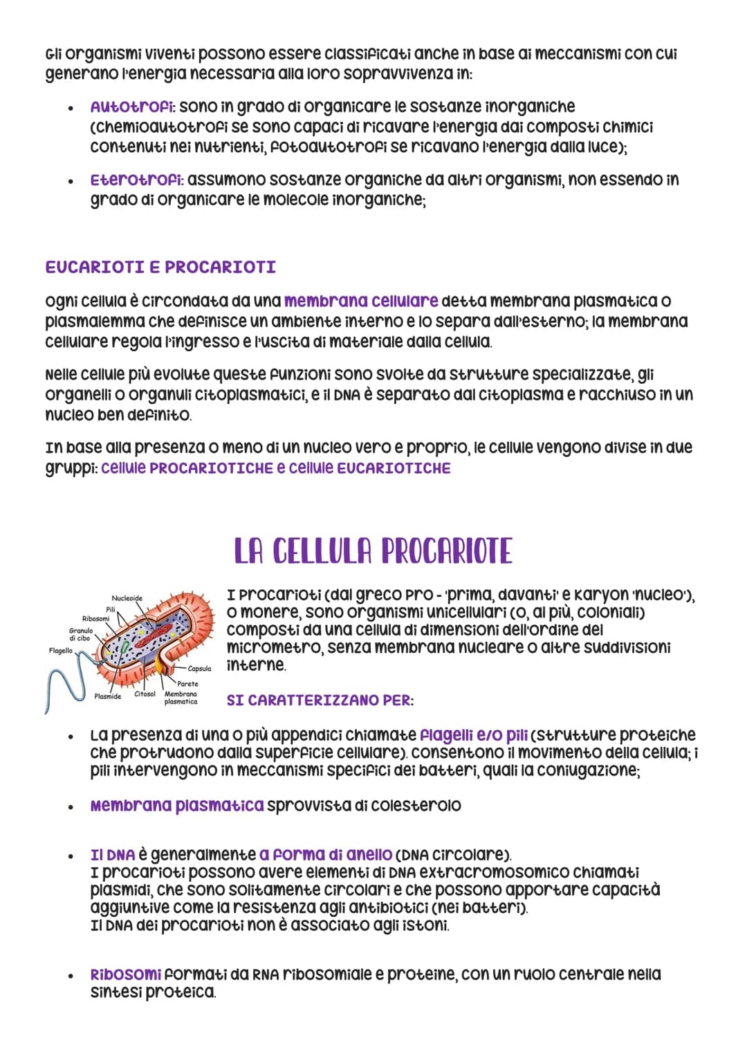 ●
Gaia Ruggiero 4^ASA 2023
La cellula è la più piccola unità vivente. Esistono
organismi formati da una sola cellula e organismi
Formati da 