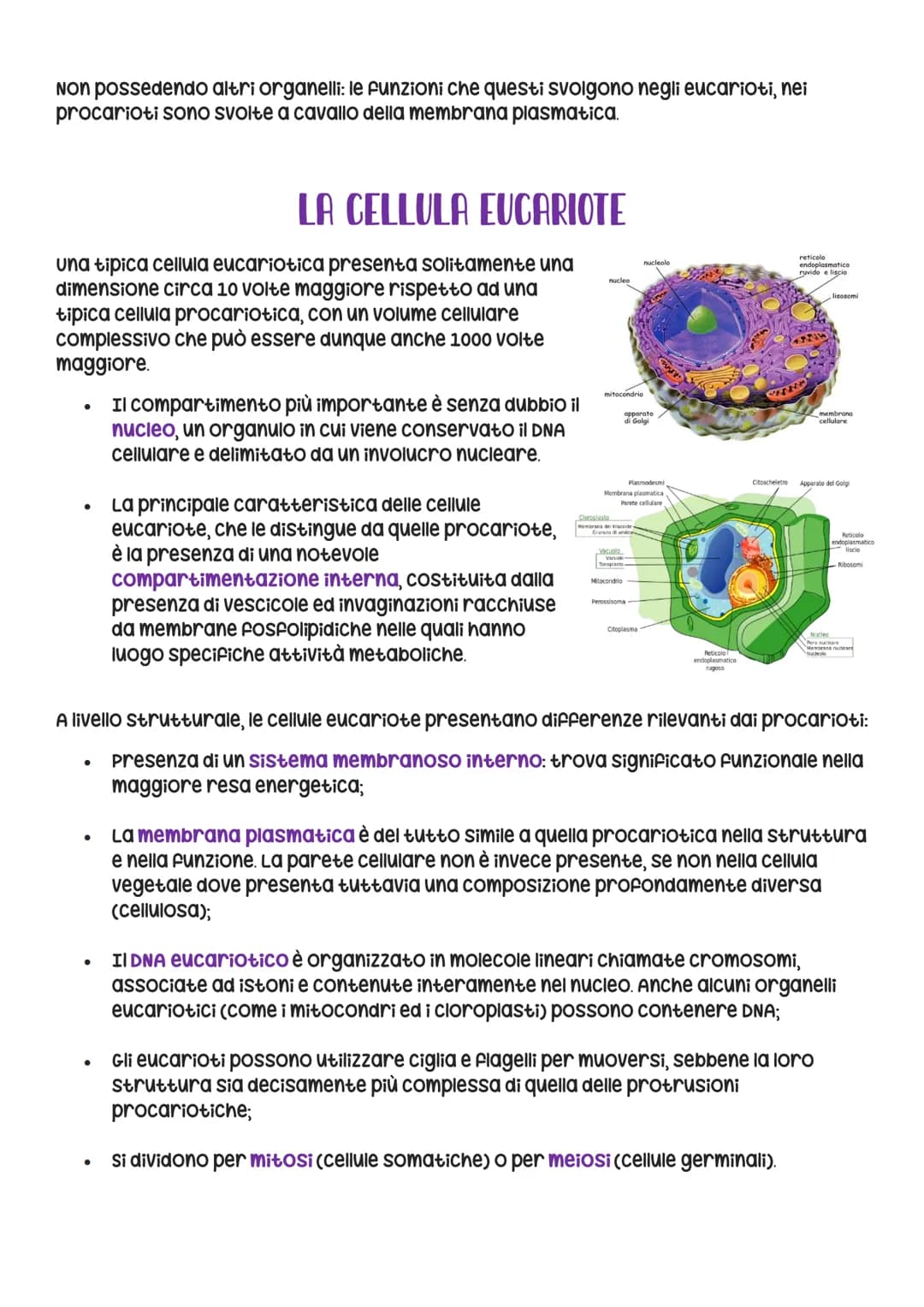●
Gaia Ruggiero 4^ASA 2023
La cellula è la più piccola unità vivente. Esistono
organismi formati da una sola cellula e organismi
Formati da 