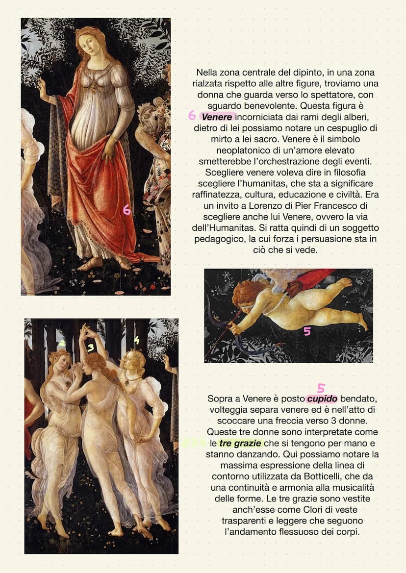 La Primavera
La primavera è considerata il capolavoro di Sandro Botticelli, il quale propone gli dei
antichi e la corte di esseri mitici di 