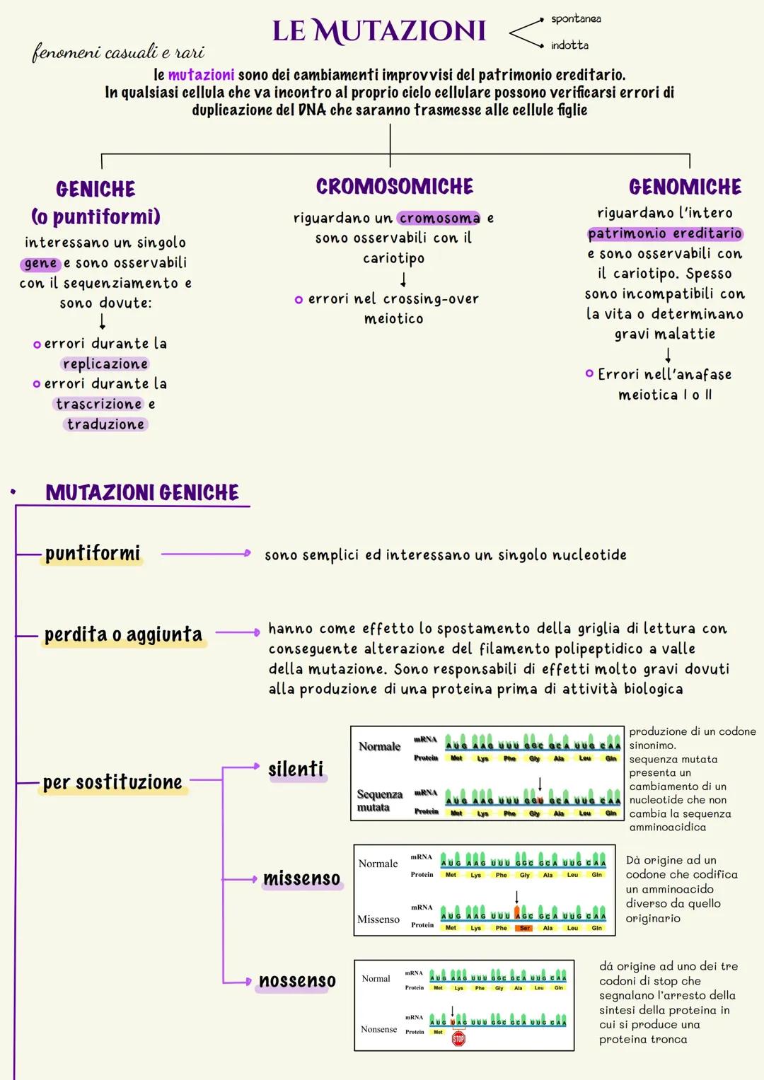 LE MUTAZIONI