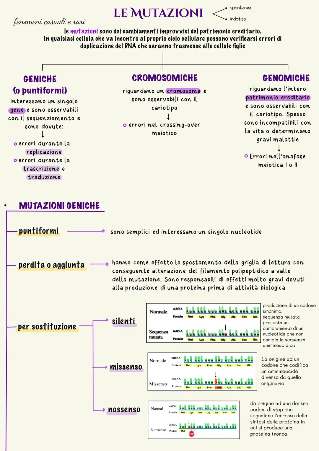 LE MUTAZIONI
le mutazioni sono dei cambiamenti improvvisi del patrimonio ereditario.
In qualsiasi cellula che va incontro al proprio ciclo c