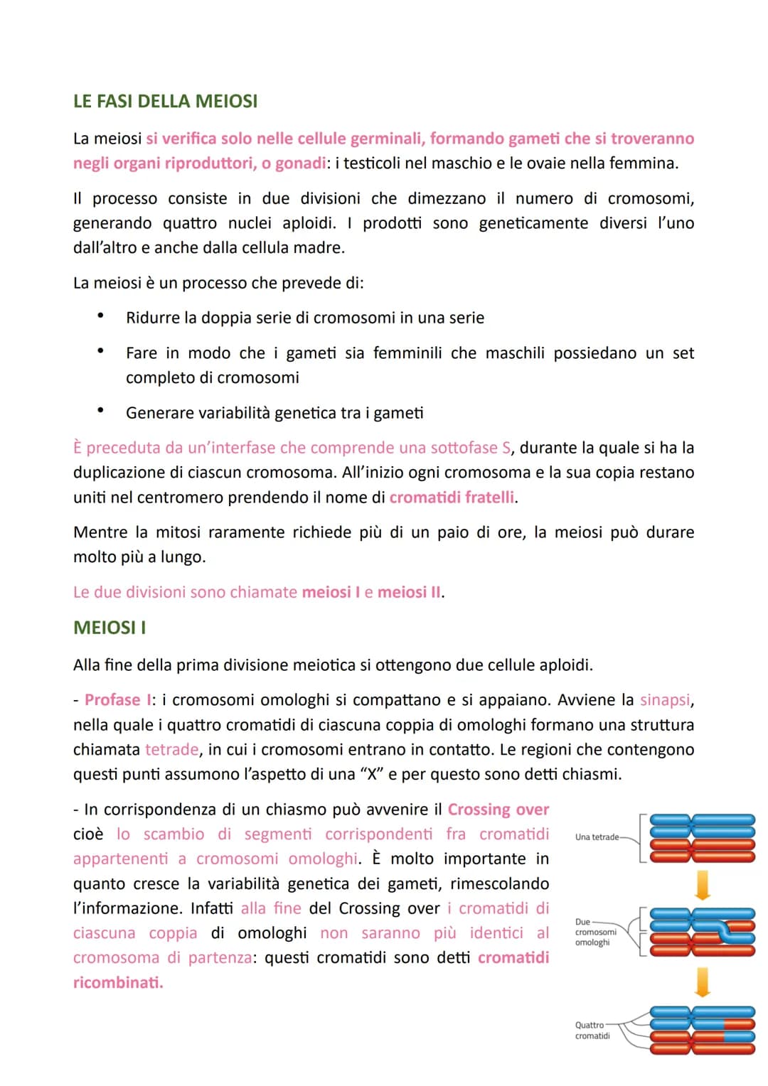 LA DIVISIONE CELLULARE
Il processo grazie al quale una cellula si divide dando origine a due cellule figlie
identiche alla cellula madre è c