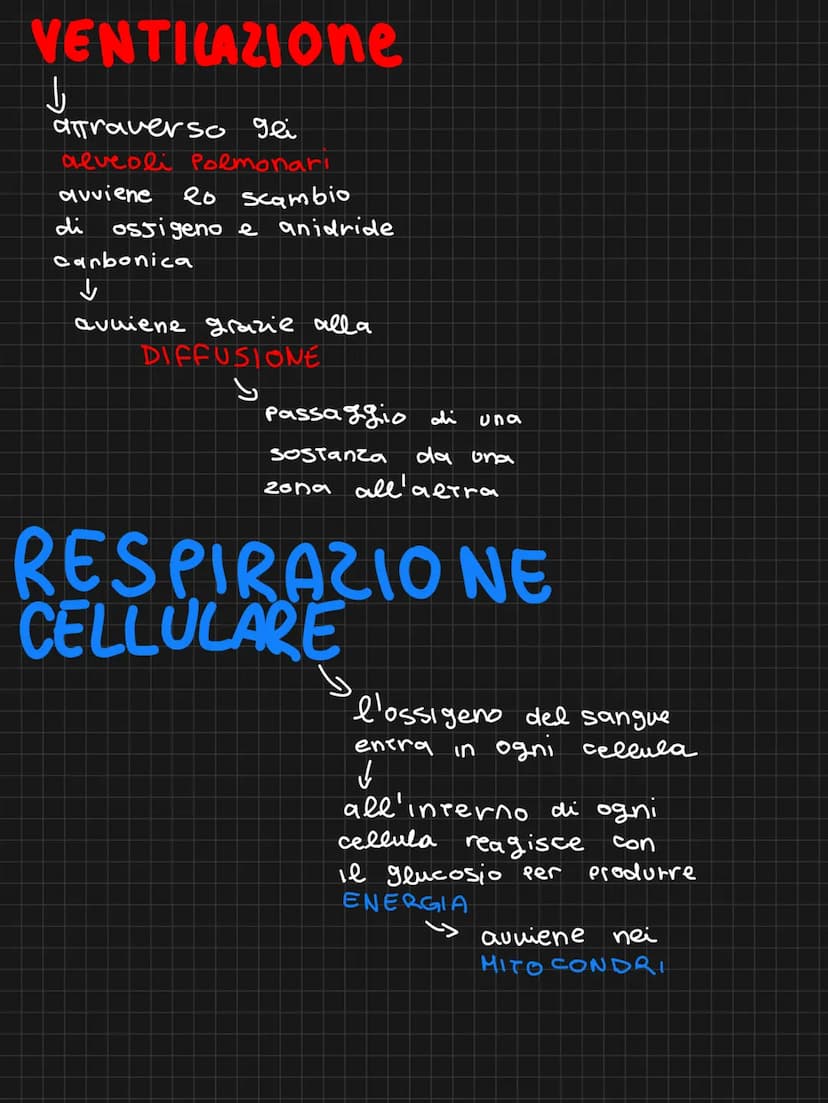 APPARATO RESPIRATORIO
a fa respirare
grazie a degli
organi specifici
b
FARINGE
LARinge
ESOPAGE
Bronc
Polmone
DESTRO
G
bia
naso
Sbocca
->cord