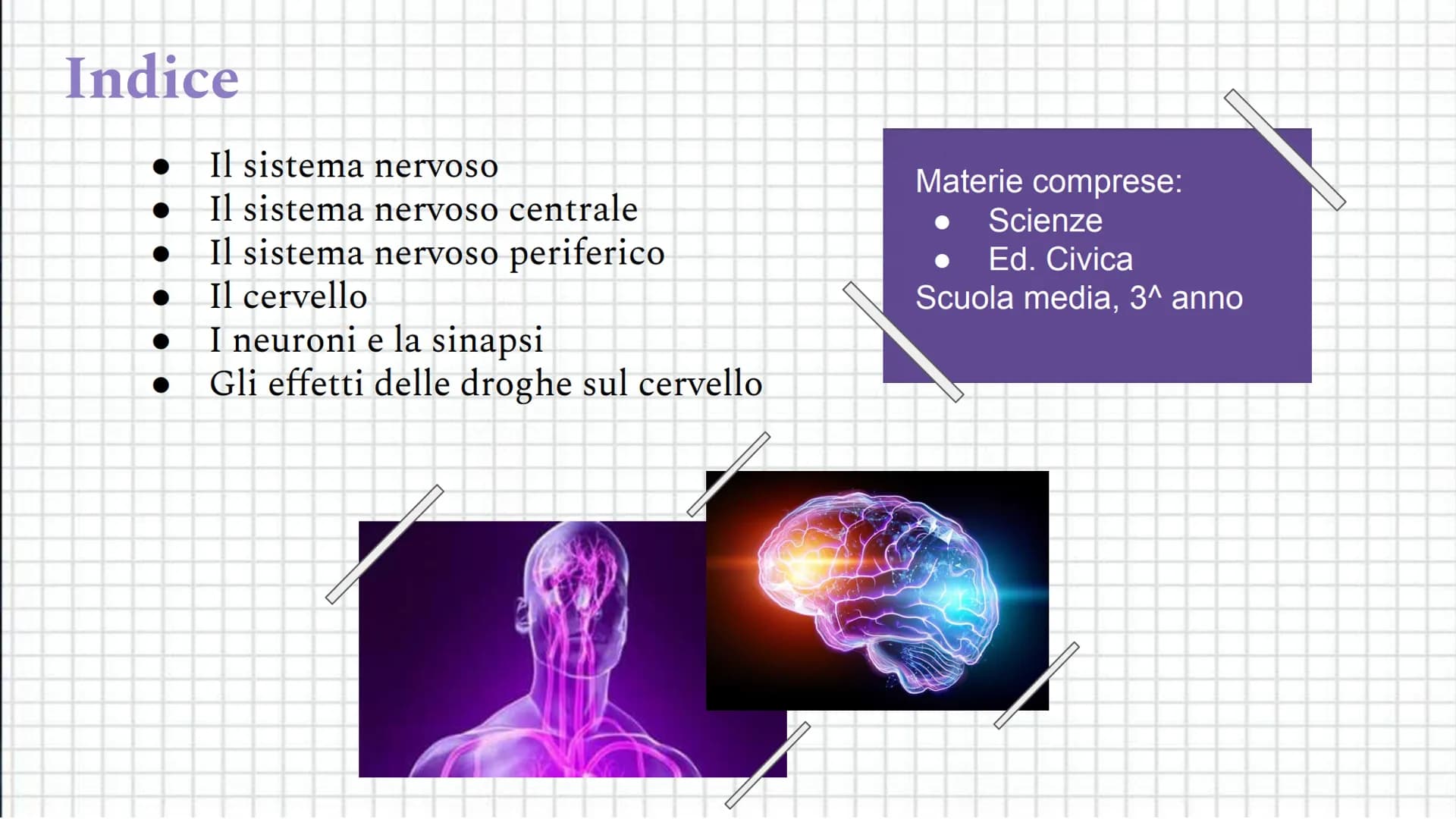 Il sistema
Coordinamento
nervoso
e regolazione Indice
●
●
Il sistema nervoso
Il sistema nervoso centrale
Il sistema nervoso periferico
Il ce