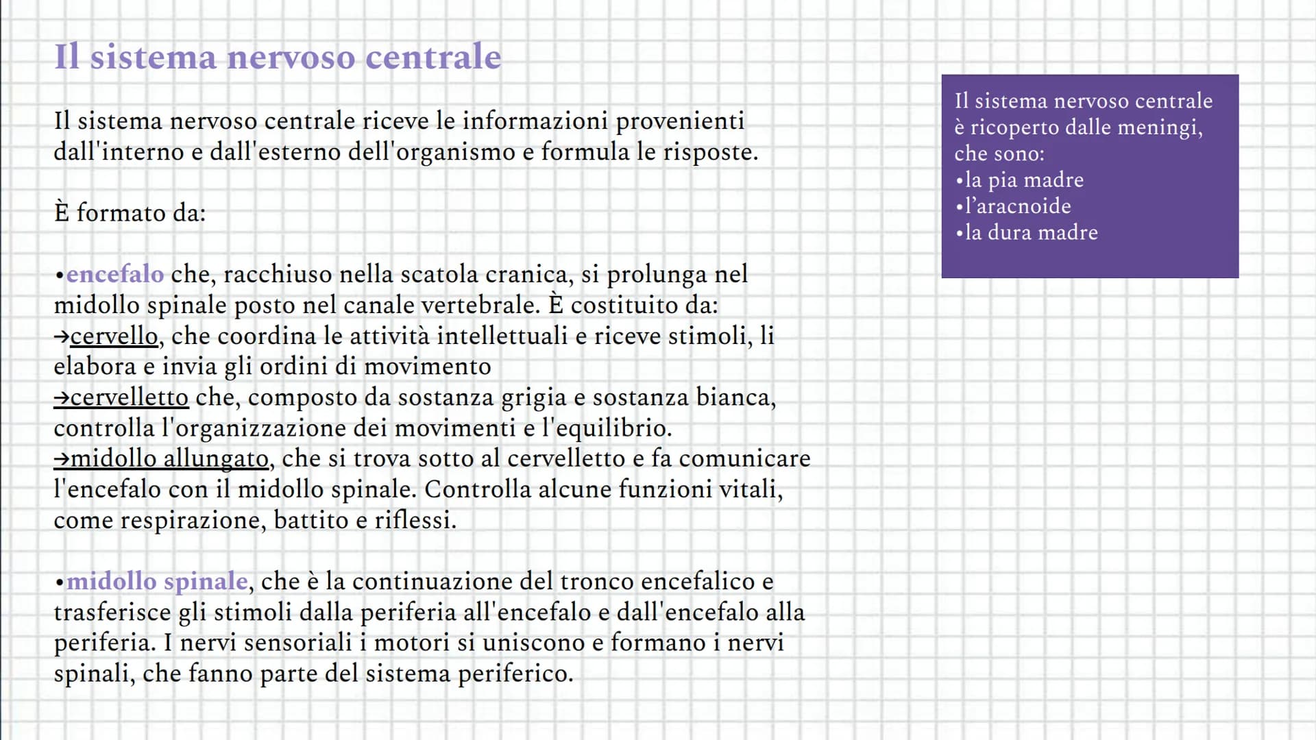 Il sistema
Coordinamento
nervoso
e regolazione Indice
●
●
Il sistema nervoso
Il sistema nervoso centrale
Il sistema nervoso periferico
Il ce