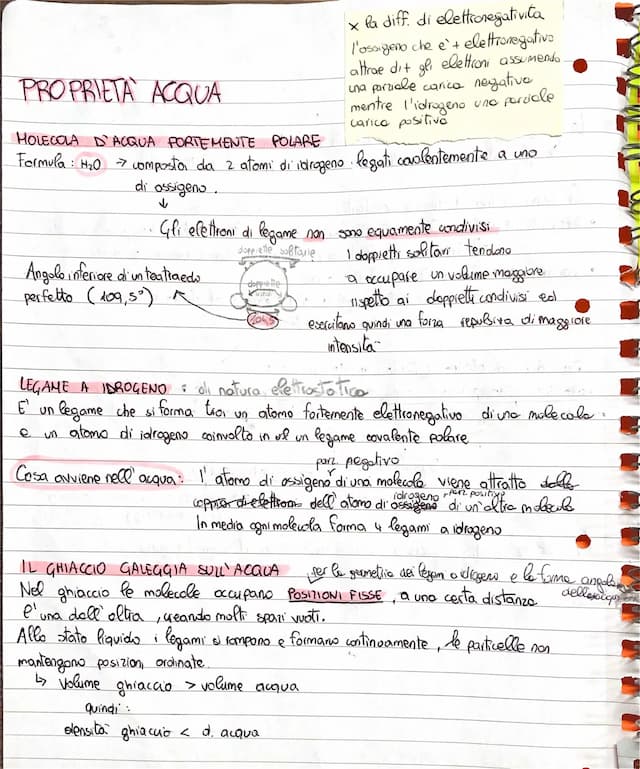 Know Proprietà dell’acqua  thumbnail